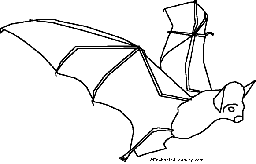 Vampire Bat Printout (simple)