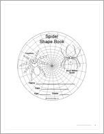 Spider Shape Book