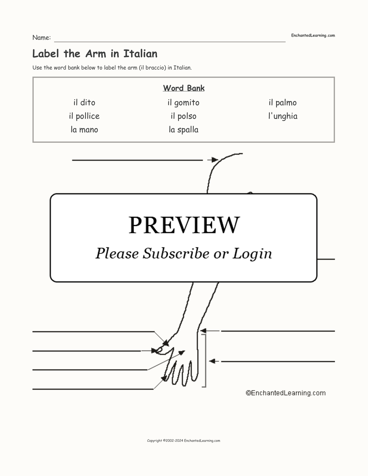 Label the Arm in Italian interactive worksheet page 1